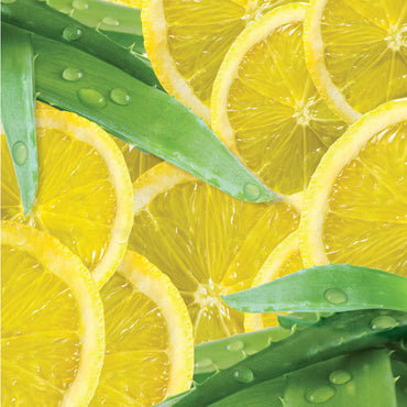 CUCCIO – Manteiga Hidratante Tubo Butter White Limetta & Aloe Vera 113g Cuccio (3381)