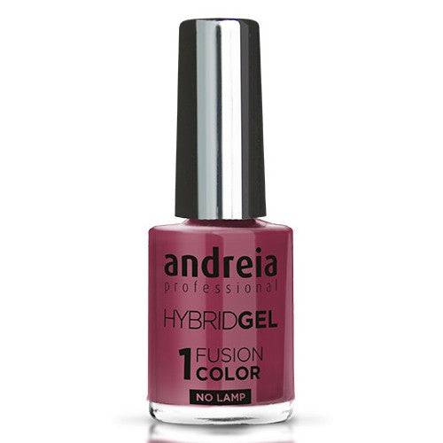 ANDREIA - Hybrid Gel - Fusion Color 10,5ml H21