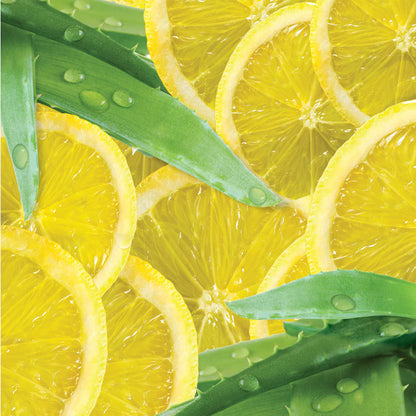 CUCCIO - Esfoliante Sea Salt Pés Mãos e Corpo White Limetta & Aloe Vera 553g (3340)