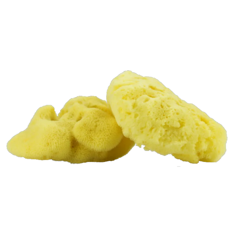 MURÀN – Esponja Marinha Healthy  00 Mar Mediterrâneo